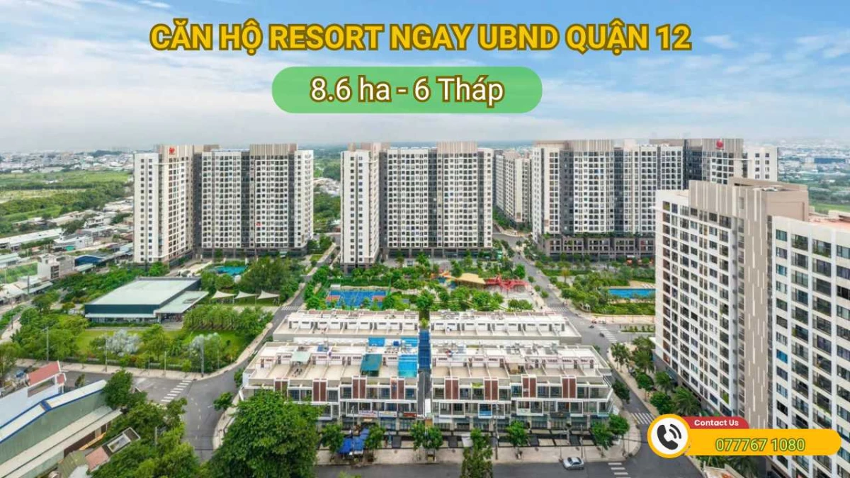 Mặt bằng thiết kế căn hộ Picity High Park